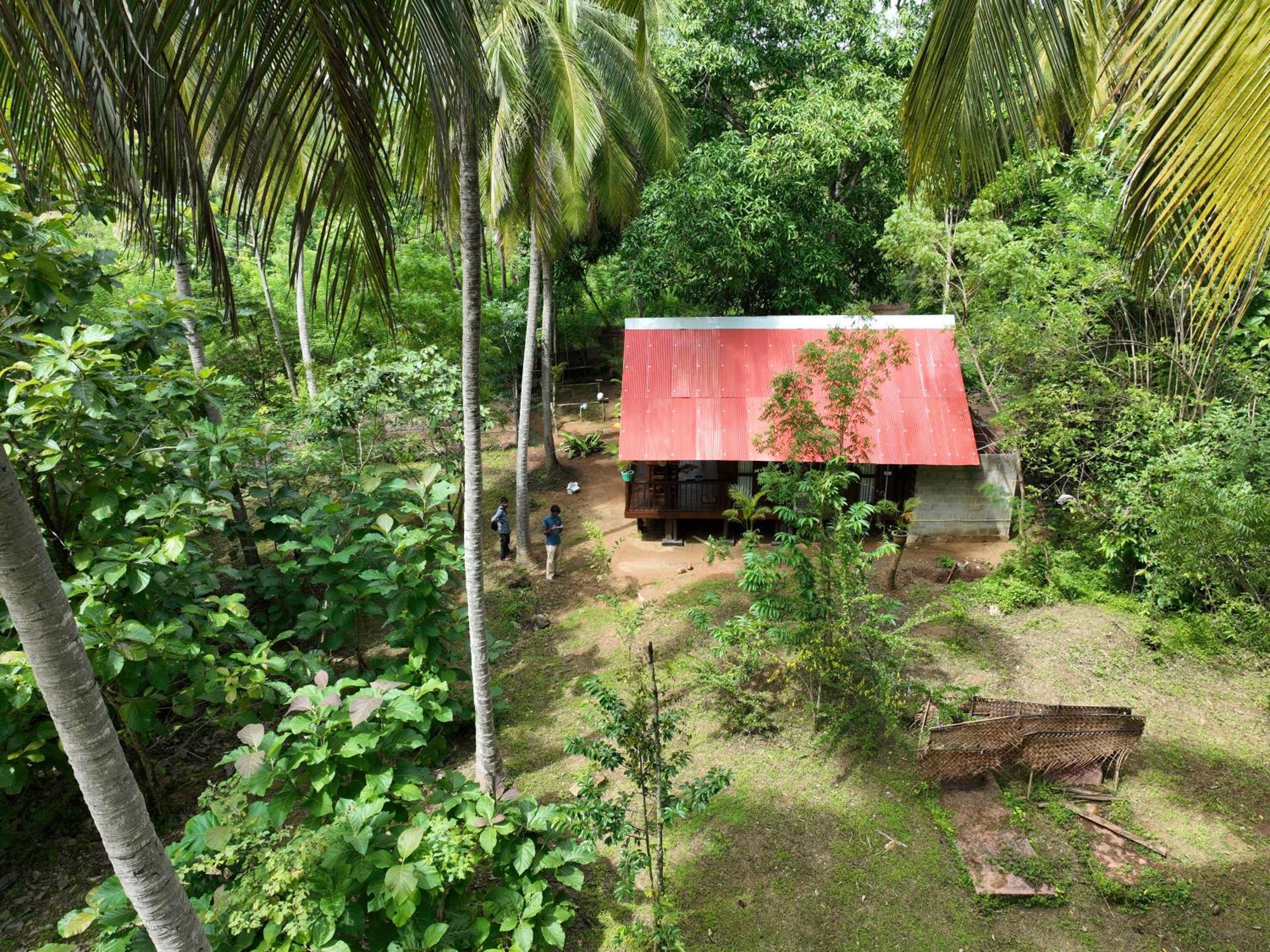 Отель Coconut Tree House Удавалаве Экстерьер фото