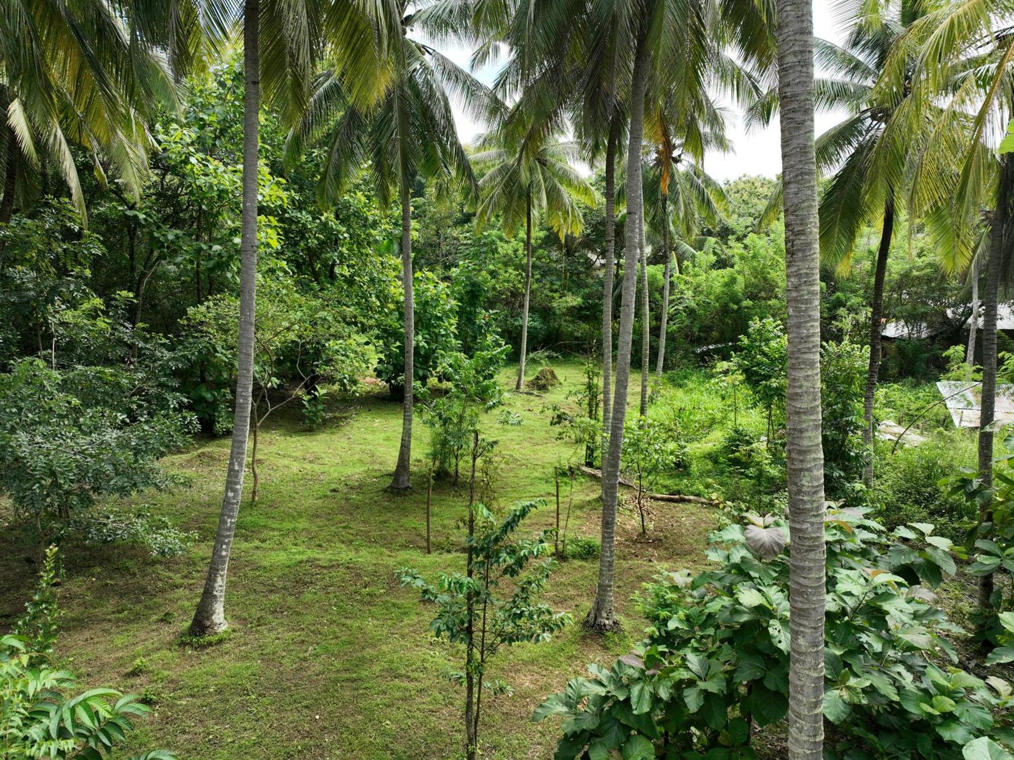 Отель Coconut Tree House Удавалаве Экстерьер фото