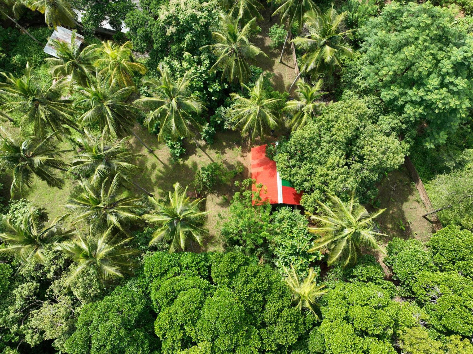 Отель Coconut Tree House Удавалаве Экстерьер фото
