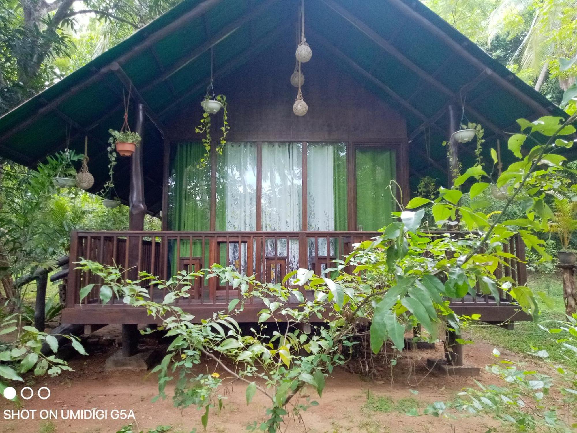 Отель Coconut Tree House Удавалаве Экстерьер фото