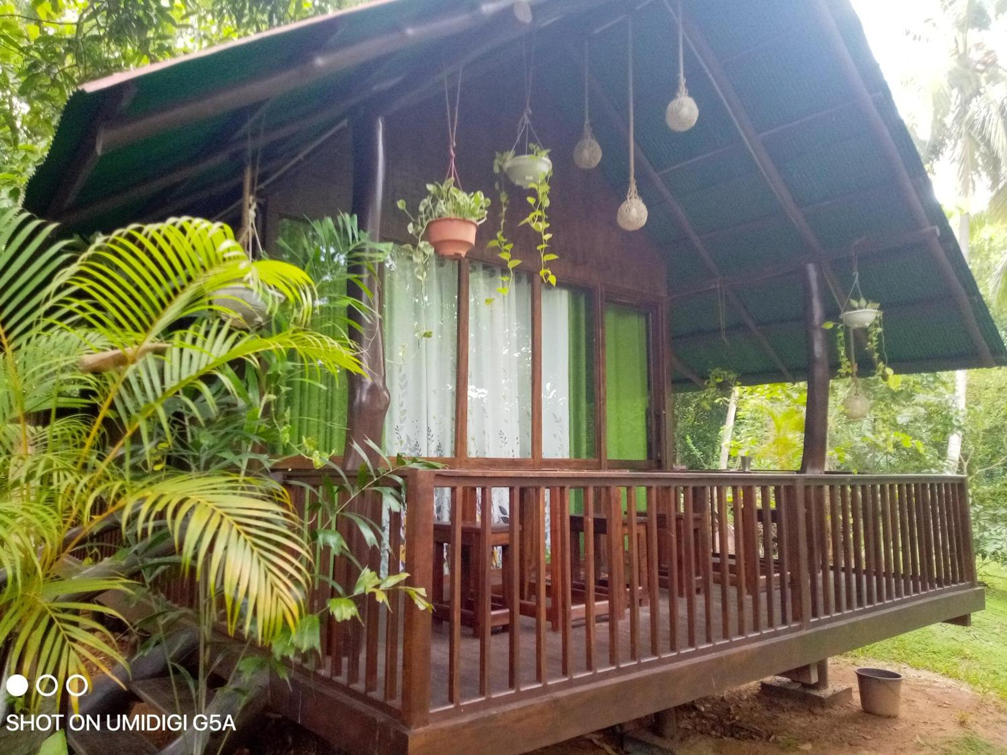 Отель Coconut Tree House Удавалаве Экстерьер фото