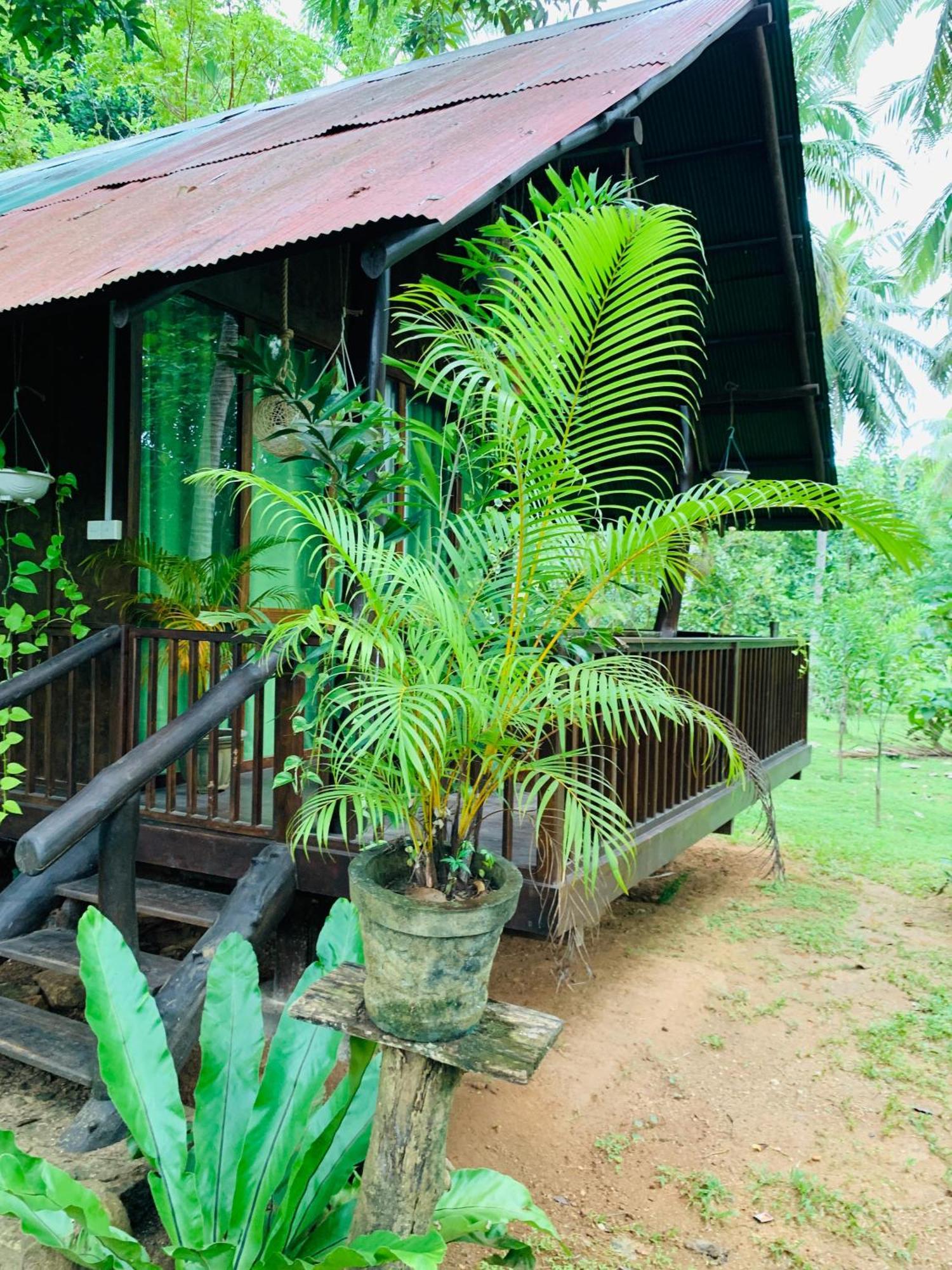 Отель Coconut Tree House Удавалаве Экстерьер фото