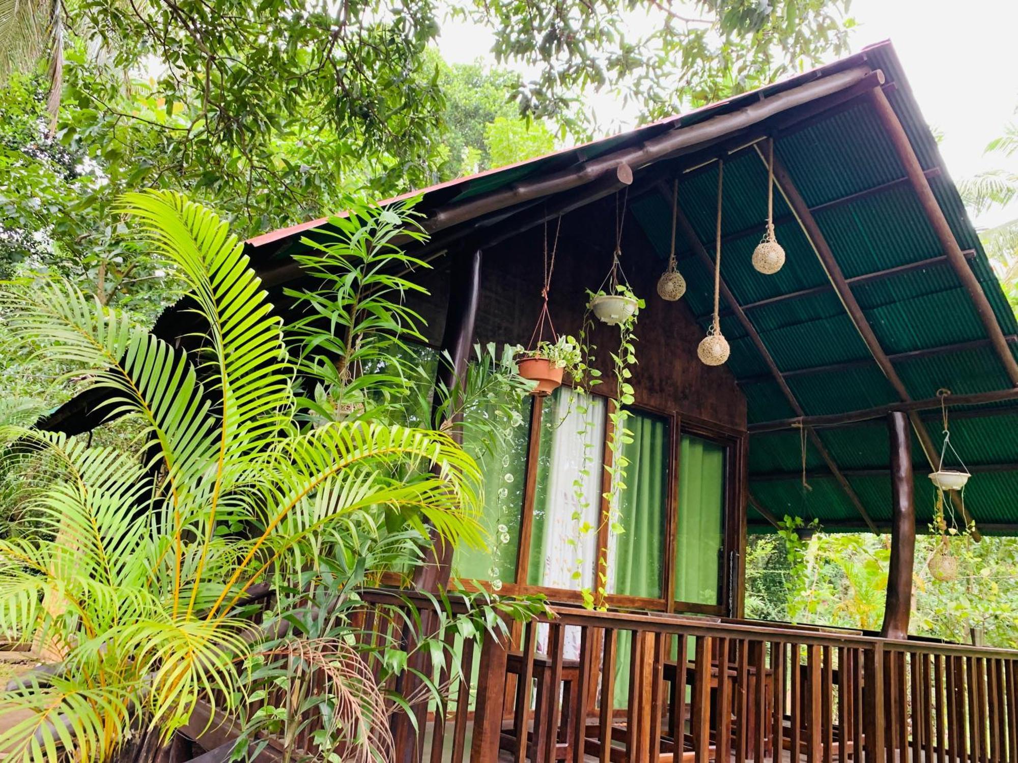 Отель Coconut Tree House Удавалаве Экстерьер фото